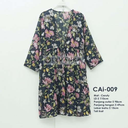 CAi-009 Outer Ceruti / Cerutty motif